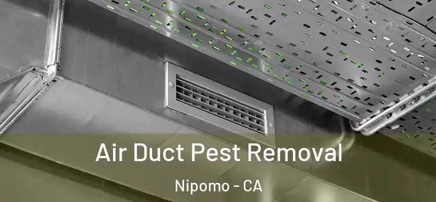  Air Duct Pest Removal Nipomo - CA