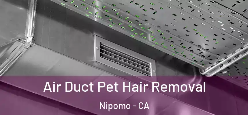  Air Duct Pet Hair Removal Nipomo - CA