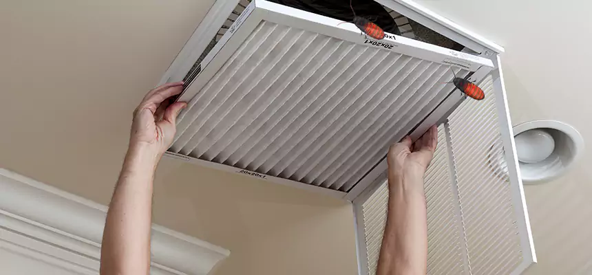 Preventive Cockroach-Proofing for Ducts in Nipomo