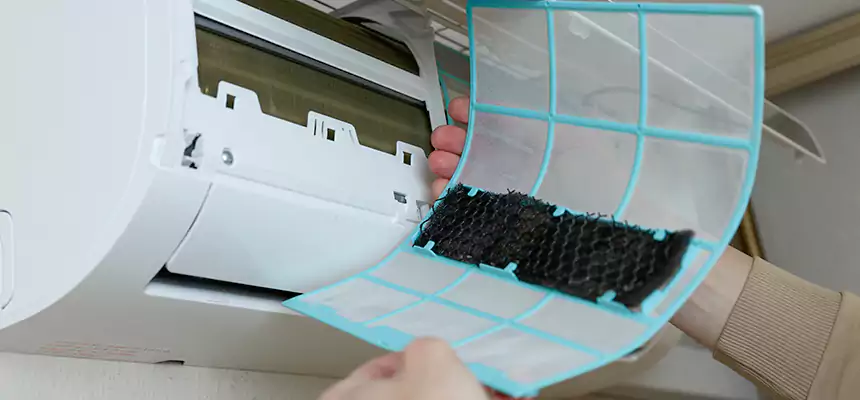 Gentle Ductwork Odor-Control Pet Dander Duct Cleaning in Nipomo, CA