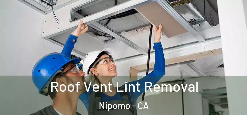  Roof Vent Lint Removal Nipomo - CA