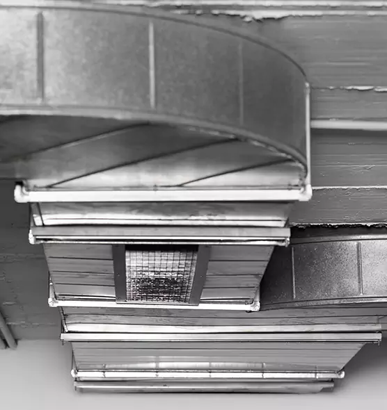 Professional Air Duct Pest Removal in Nipomo, CA