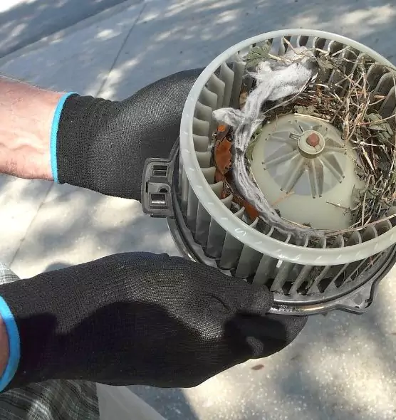 About Air Duct Rat Removal in Nipomo, CA