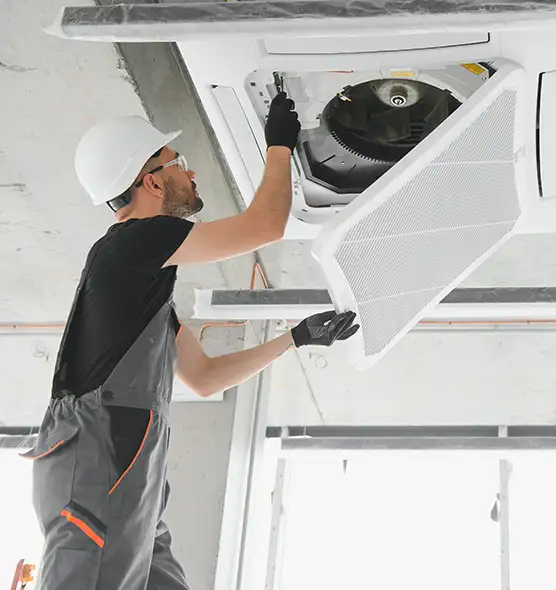 About Air Duct Rodent Removal in Nipomo, CA