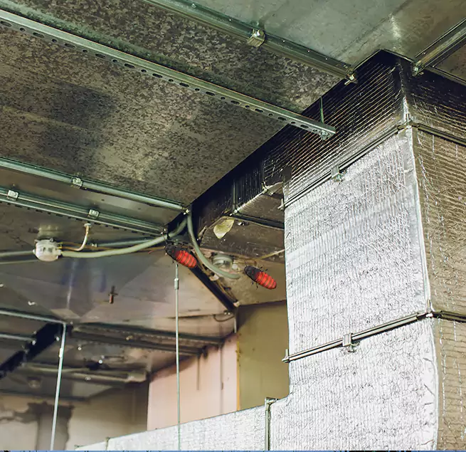 Why Homeowners & Businesses Trust Us in Nipomo, CA?